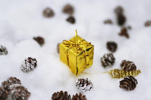 Cones na neve — Fotografia de Stock