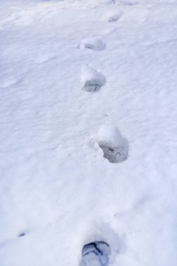 Karda ayak izleri.