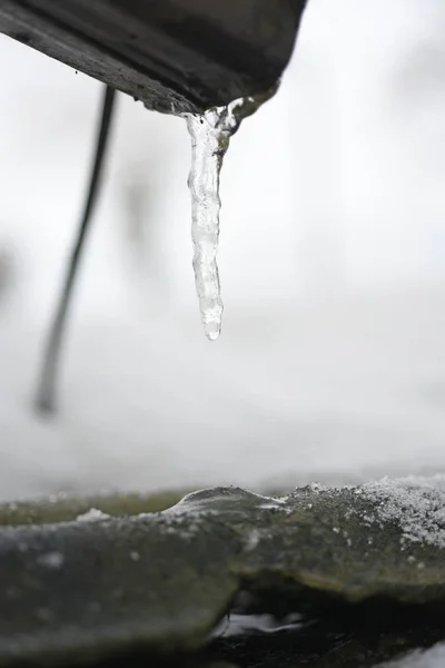 Macro foto de un pequeño carámbano en crecimiento . — Foto de Stock