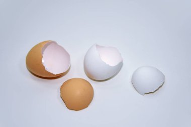 Makro fotoğraf tavuk yumurta kabuğu.