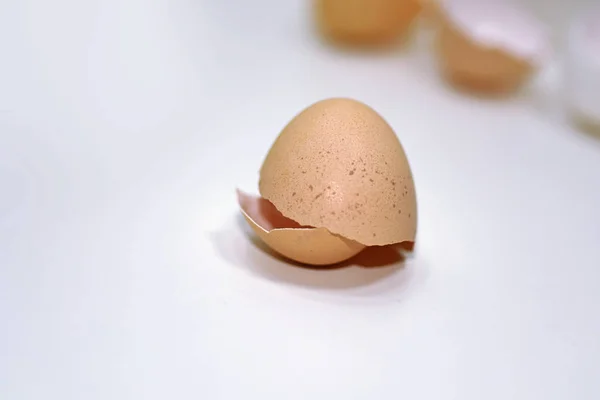 Макро фото шкаралупи курячих яєць . — стокове фото