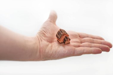Üzerinde küçük dekoratif ev palm mans.