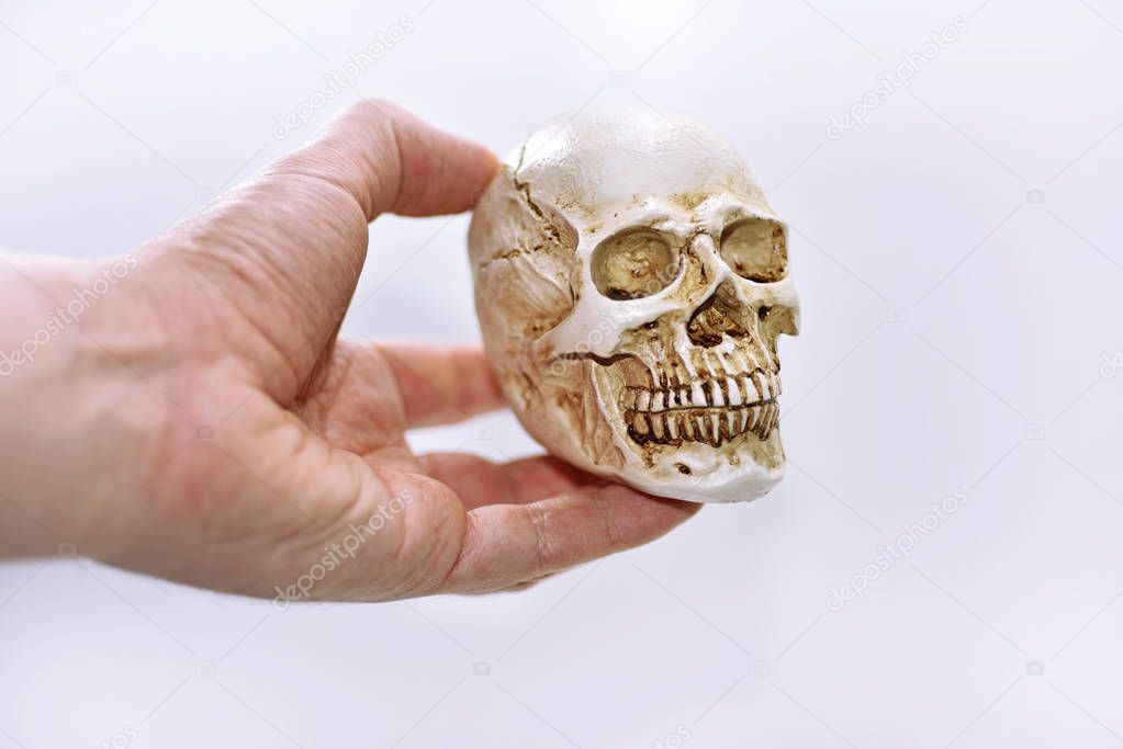 Small decorative human skull.