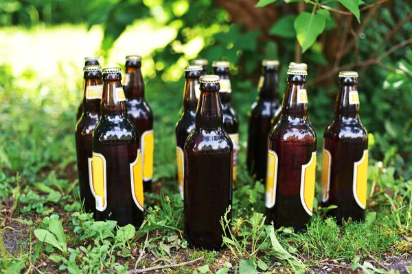 Garrafas de cerveja na grama . — Fotografia de Stock