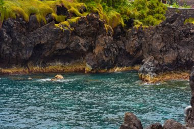 Vahşi okyanus dalgaları