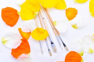 Fırçalar çizim için renkli soyutlama.