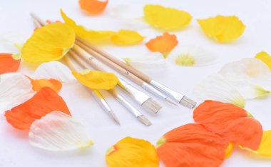 Fırçalar çizim için renkli soyutlama.