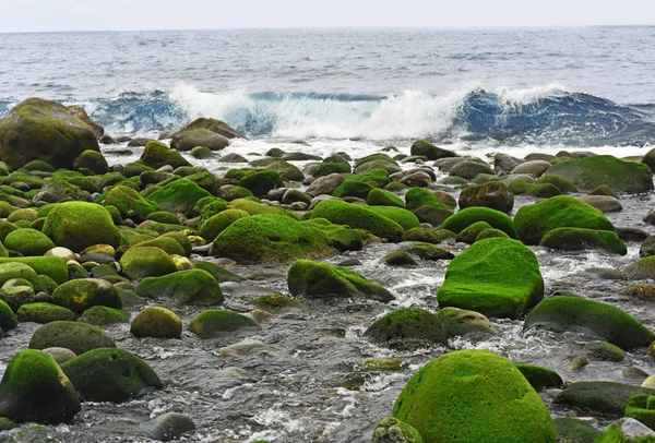 Groupe de pierres près de la côte océan Atlantique . — Photo
