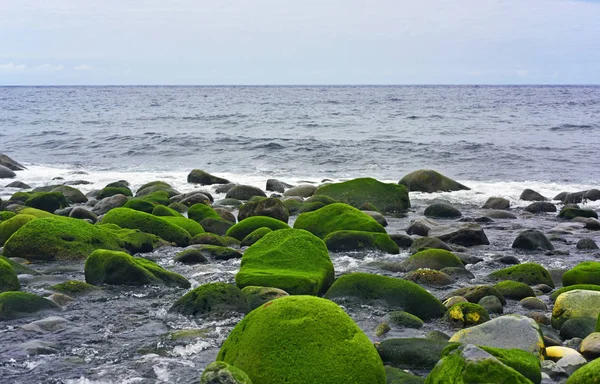 Groupe de pierres près de la côte océan Atlantique . — Photo