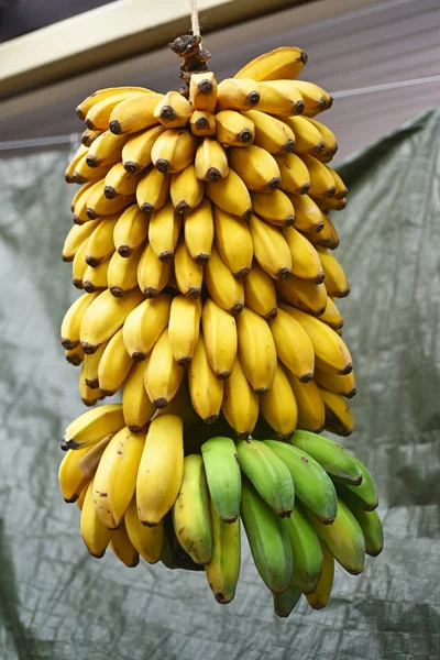 Open markt bananen. — Stockfoto