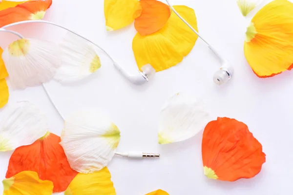 Autumn texture with white headphones