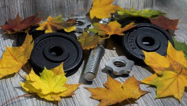 Ahşap arka plan yapraklarda halterle.