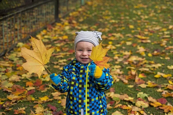 Dziecko na zielonej trawie z żółty jesienny liść. — Zdjęcie stockowe