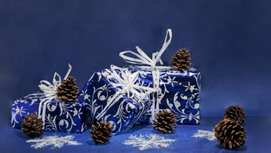 Mavi arkaplanda çam kozalakları izole.