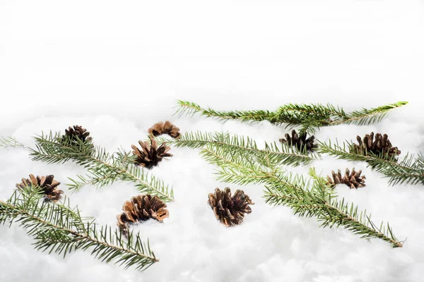 Stożki śniegu. Fotografia makro z małe dekoracyjne szyszki — Zdjęcie stockowe