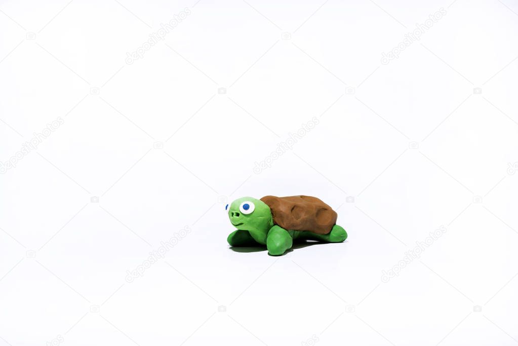 Green small turtle