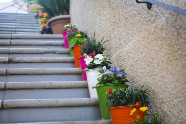 Adımları bir tencere çiçeklenir