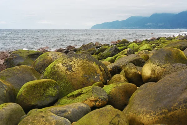 Groupe de pierres près de la côte océan Atlantique . — Photo