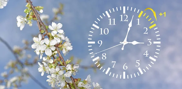 Daylight Saving Time. Change clock to summer time.