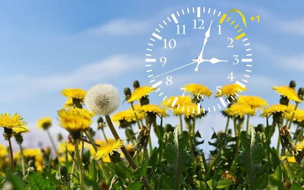 Yaz saati uygulaması. Değişiklik saati yaz saati.