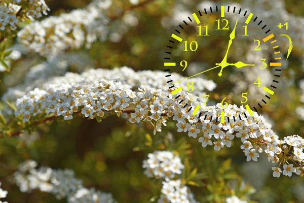 Переход на летнее время. Летнее время. Настенные часы в зимнее время . — стоковое фото