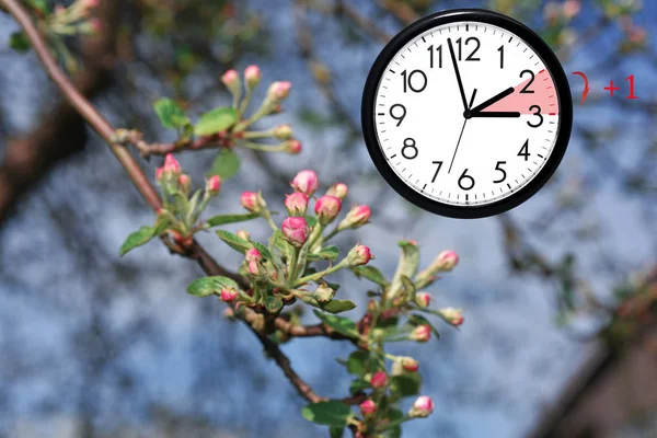 Daylight Saving Time. DST. Wandklok gonna wintertijd. — Stockfoto