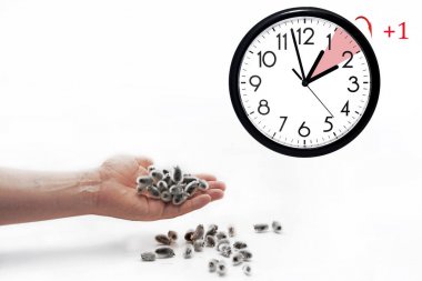 Yaz saati uygulaması. Kış sefer için Dst. duvar saati.