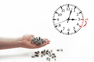 Yaz saati uygulaması. Kış sefer için Dst. duvar saati.