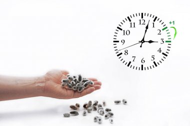 Yaz saati uygulaması. Kış sefer için Dst. duvar saati.