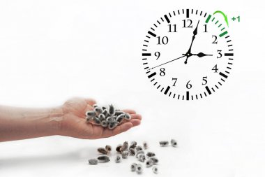 Yaz saati uygulaması. Kış sefer için Dst. duvar saati.