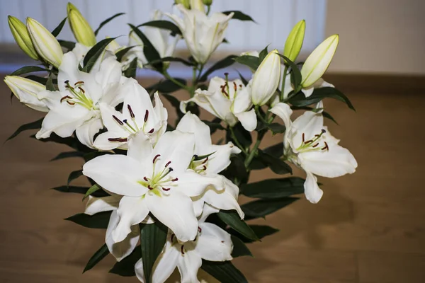 Weiße Lilien in einem Strauß. — Stockfoto
