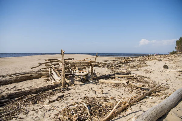 Driftwood jelentkezzen be a tengerparton. Napsütéses nyári napon. Lettország. River nevű Gauja — Stock Fotó