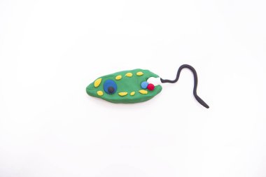 Protozoa bakterisi. En ünlü ve basit bakteri Euglena 'dır.