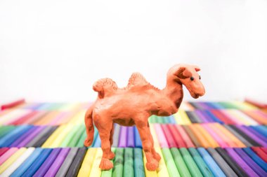 Play clay Animals. Camel on colored background.