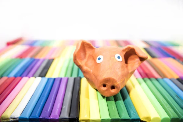 Play clay Animals. Pig on colored background. — Stock Photo, Image