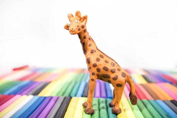 Play clay Animals. Giraffe on colored background. — Stock Photo, Image