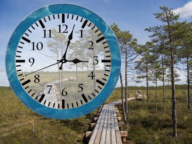 Daylight Saving Time (DST). Clock going to summer time (+1h). Turn time forward.