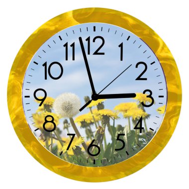 Daylight Saving Time (DST). Wall Clock going to summer time (+1). Turn time forward.