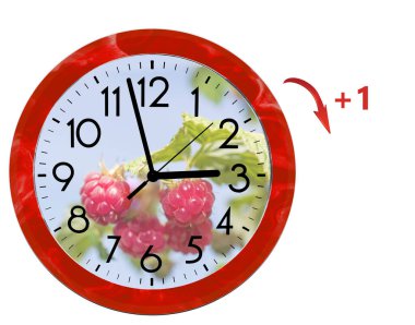 Daylight Saving Time (DST). Wall Clock going to summer time (+1). Turn time forward.