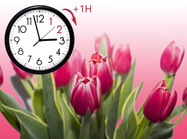 Daylight Saving Time (DST). Blue sky with white clouds and clock. Turn time forward (+1h).