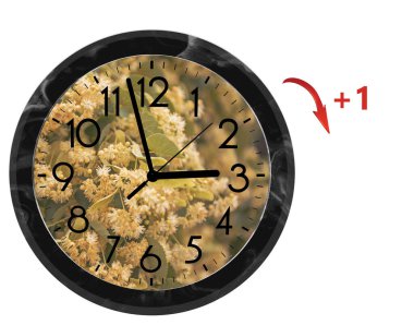 Daylight Saving Time (DST). Wall Clock going to summer time (+1). Turn time forward.