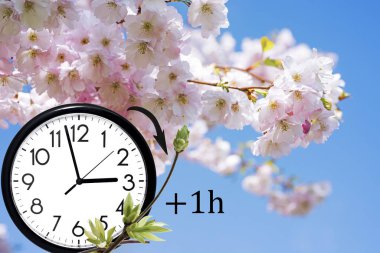 Daylight Saving Time (DST). Blue sky with white clouds and clock. Turn time forward (+1h).