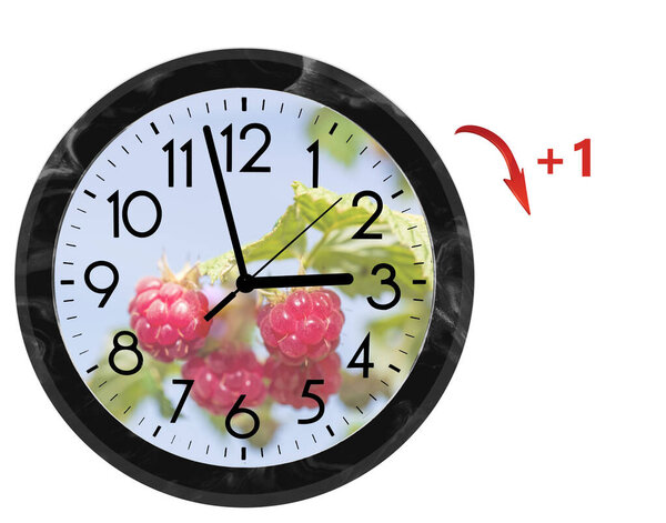 Переход на летнее время (DST). Стенные часы, идущие в летнее время (+ 1). Поворот времени вперед
.