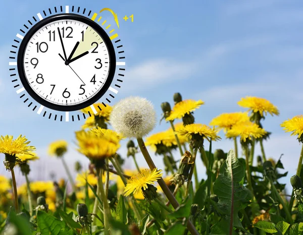 Sommardagsljus Sparar tid (Dst). Blå himmel med gula maskrosor. Vrid tiden framåt (+ 1h). — Stockfoto