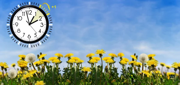 Summer Daylight Saving Time (DST). Blue sky with yellow dandelions. Turn time forward (+1h). — Stock Photo, Image