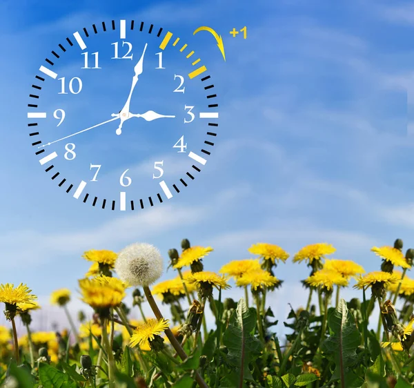 Sommardagsljus Sparar tid (Dst). Blå himmel med gula maskrosor. Vrid tiden framåt (+ 1h). — Stockfoto