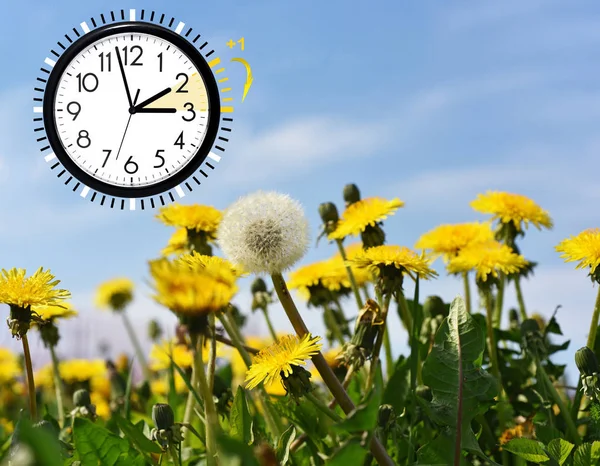Summer Daylight Saving Time (DST). Blue sky with yellow dandelions. Turn time forward (+1h). — Stock Photo, Image