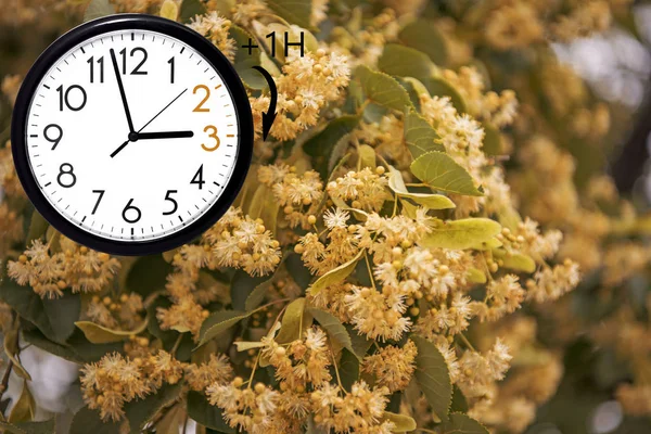 Zomertijd Dst Blauwe Lucht Met Witte Wolken Klok Draai Tijd — Stockfoto