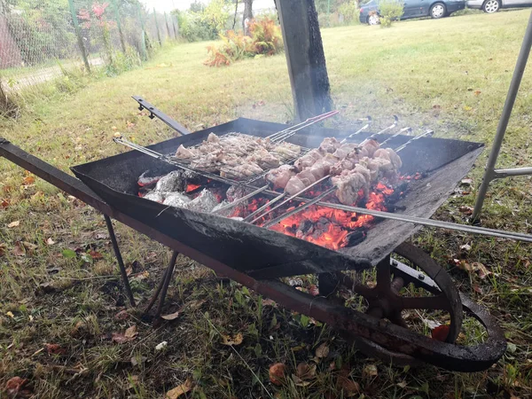 Grilling Shashlik Barbecue Grill Zonnige Zomerdag — Stockfoto