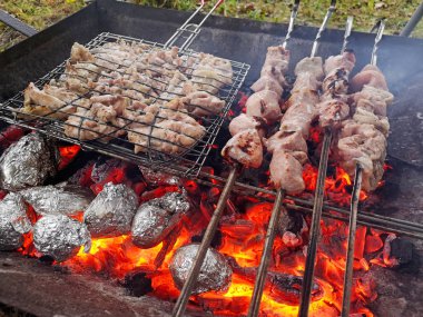 Barbekü ızgara üzerinde ızgara shashlik. Güneşli yaz günü.